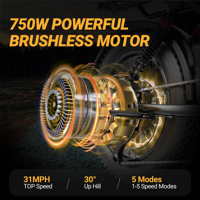 Electric Bike | Peak Power 1500W