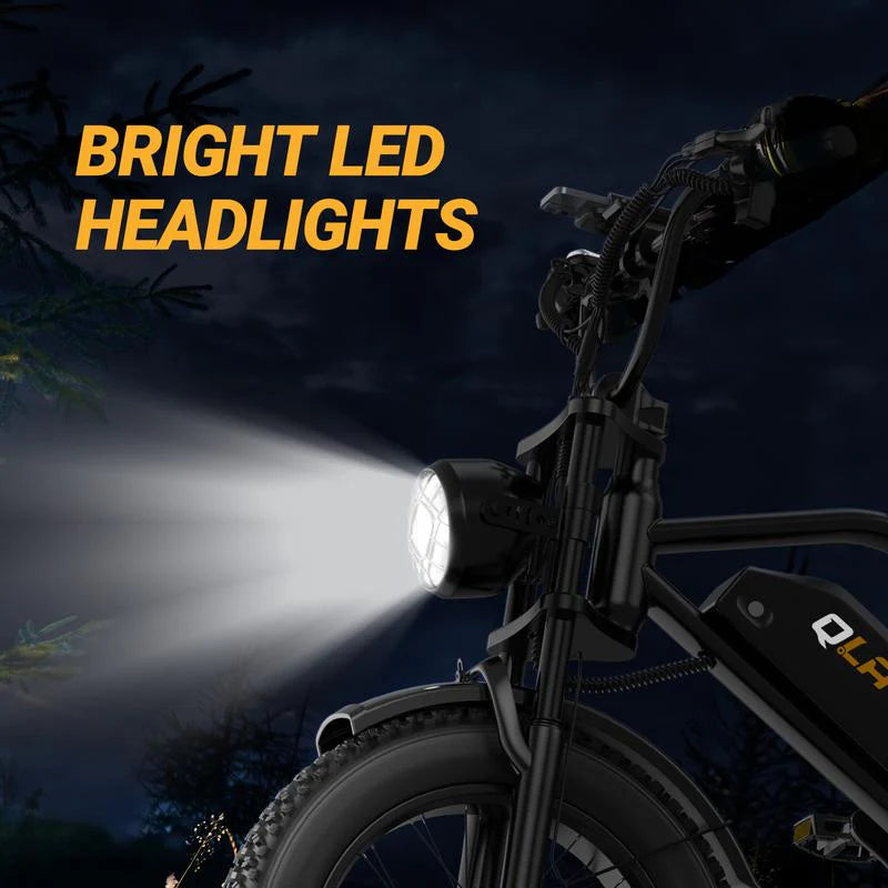 Electric Bike | Peak Power 1500W
