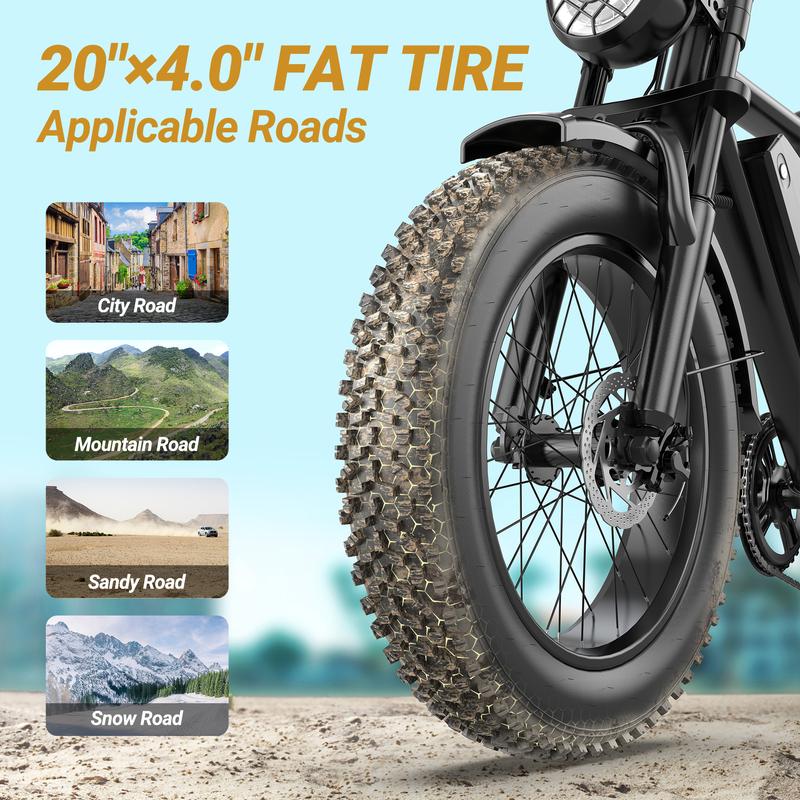 Electric Bike | Peak Power 1500W