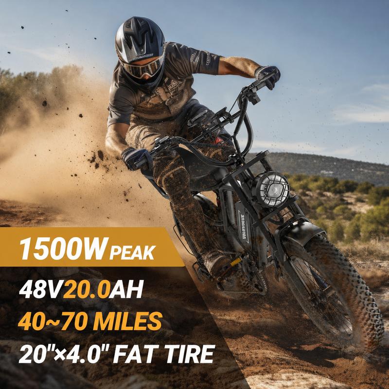 Electric Bike | Peak Power 1500W